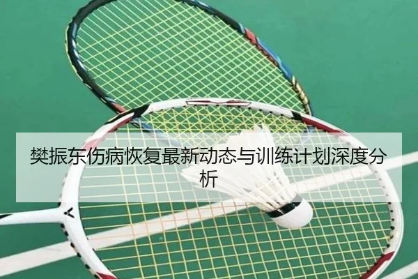 樊振东伤病恢复最新动态与训练计划深度分析