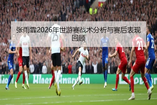 张雨霏2026年世游赛战术分析与赛后表现回顾